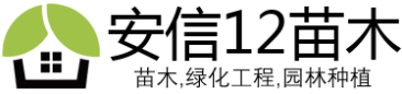 安信12_信任平台-上安信12注册专线！