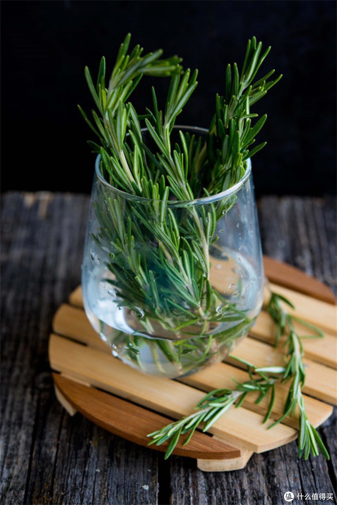 “迷迭香”不用买,掐个枝条插盆里,10天生根,芳香美观旺盛